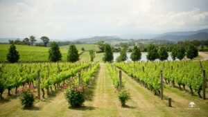 City to Country Weekend Caravan Getaways from Melbourne (2)