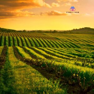 Exploring South Australia by Caravan Essentials That Make the Journey Smoother