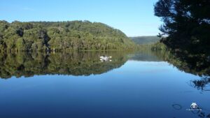 Wild Roads and Coastal Camps Caravan Adventures in Tasmania (2)