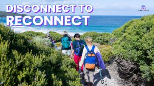 The Great Disconnect How Caravanning Helps You Reconnect